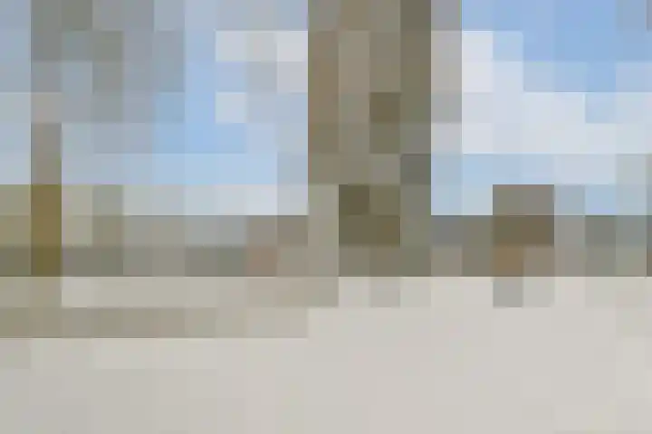 Bachlaan 70 Rotterdam thumbnail 32