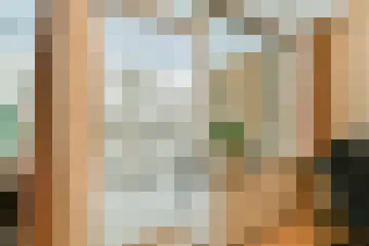 Bachlaan 70 Rotterdam thumbnail 8