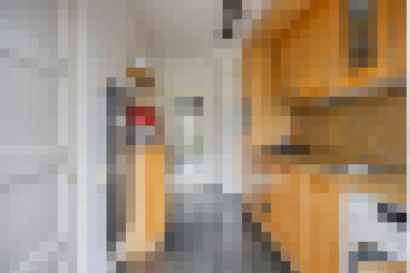 Bachlaan 74 Arnhem thumbnail 17