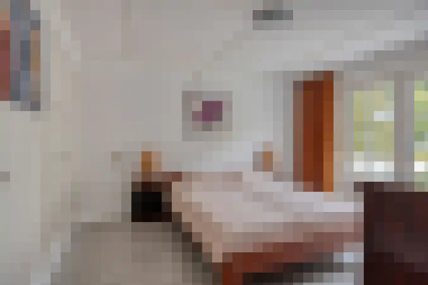 Bachlaan 74 Arnhem thumbnail 24