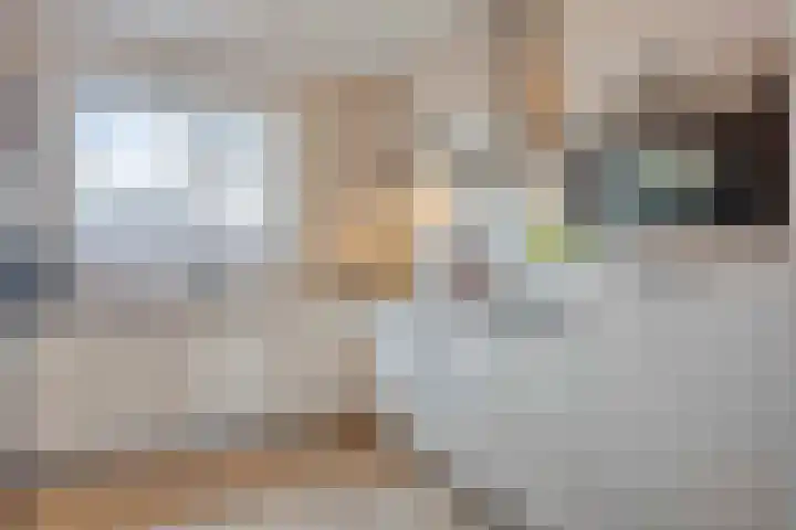 Bachlaan 75 Zwolle thumbnail 10
