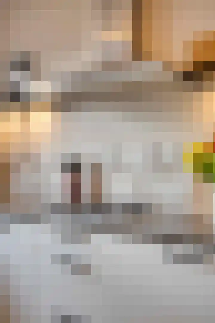 Bachlaan 75 Zwolle thumbnail 11