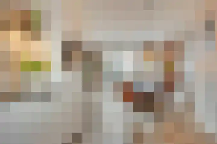Bachlaan 75 Zwolle thumbnail 12