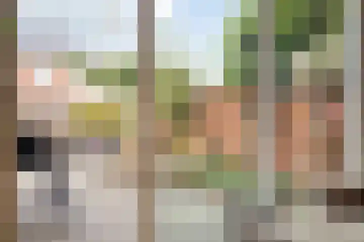 Bachlaan 75 Zwolle thumbnail 13