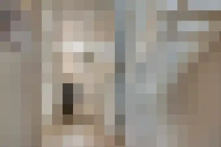 Bachlaan 75 Zwolle thumbnail 18