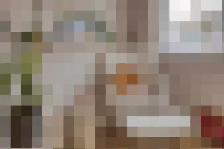 Bachlaan 75 Zwolle thumbnail 23