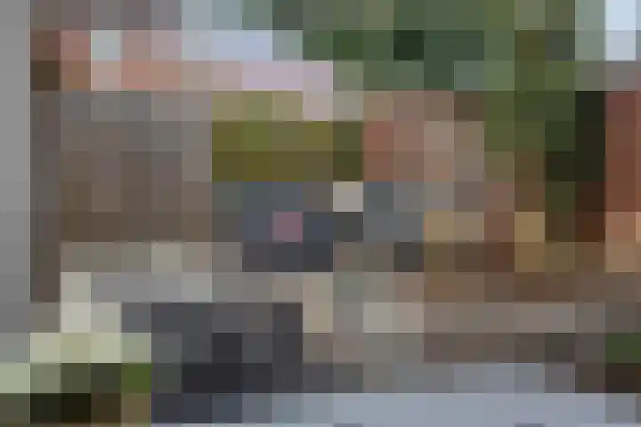 Bachlaan 75 Zwolle thumbnail 29