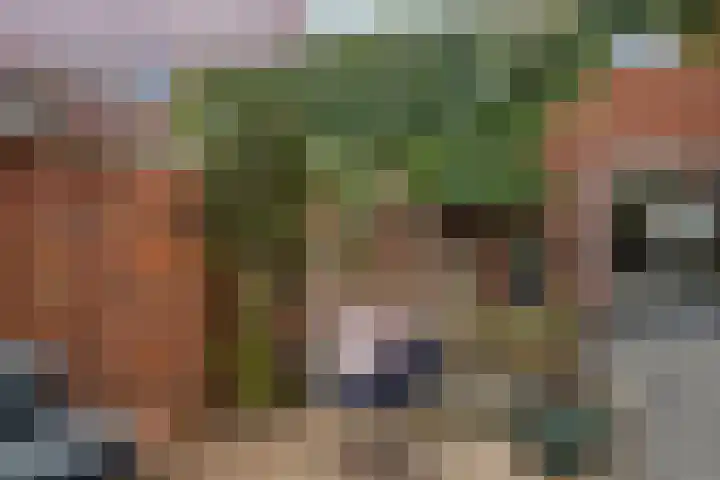 Bachlaan 75 Zwolle thumbnail 30