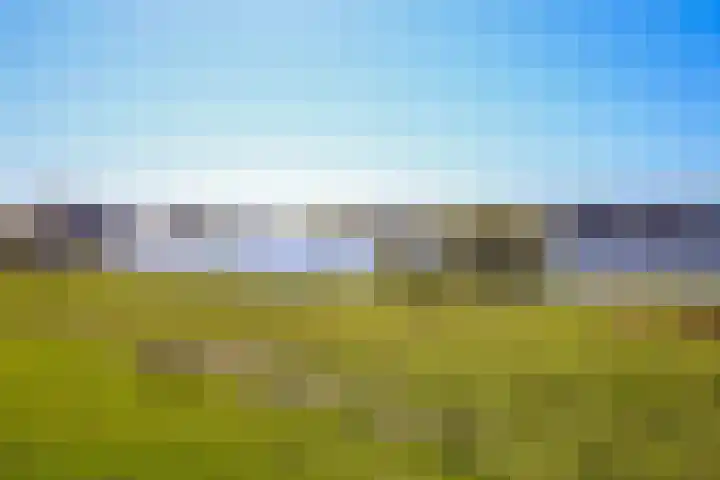 Bachlaan 75 Zwolle thumbnail 34