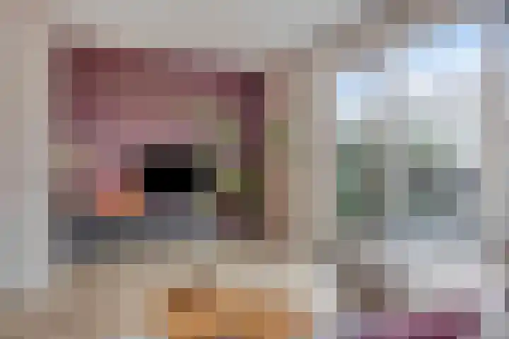 Bachlaan 75 Zwolle thumbnail 7