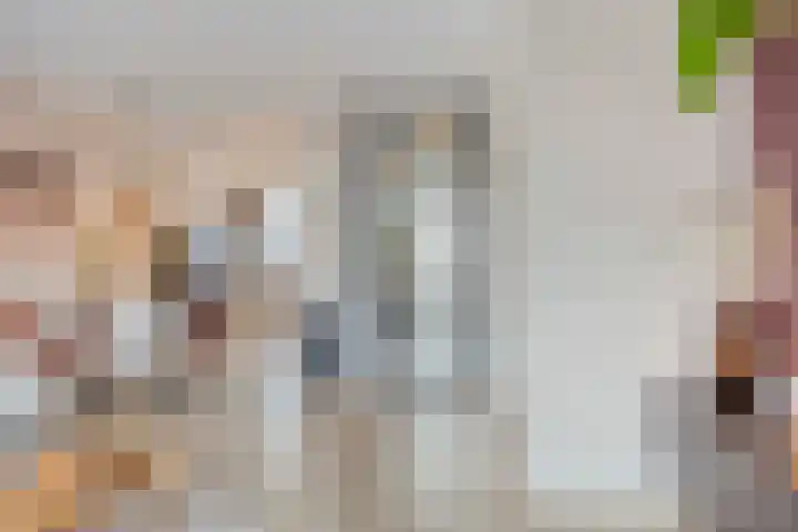 Bachlaan 75 Zwolle thumbnail 8