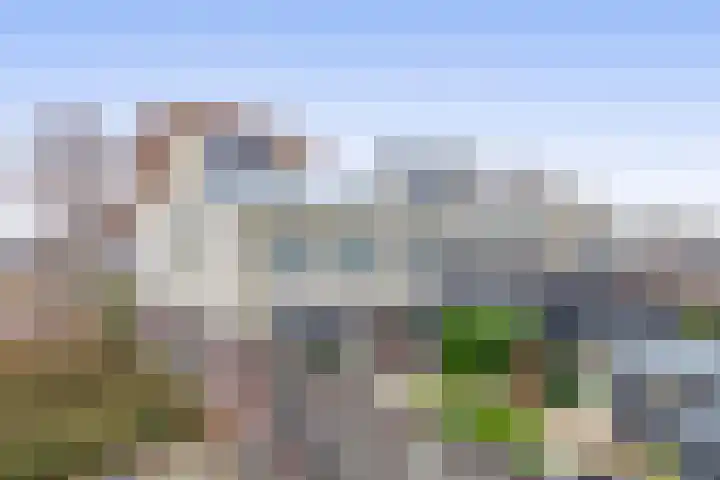 Bachlaan 79 A Oud-Beijerland thumbnail 50