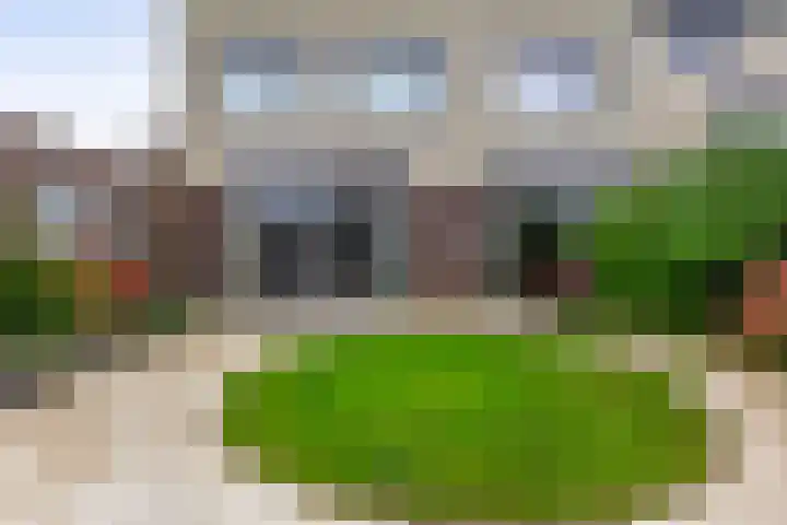 Bachlaan 79 A Oud-Beijerland thumbnail 57