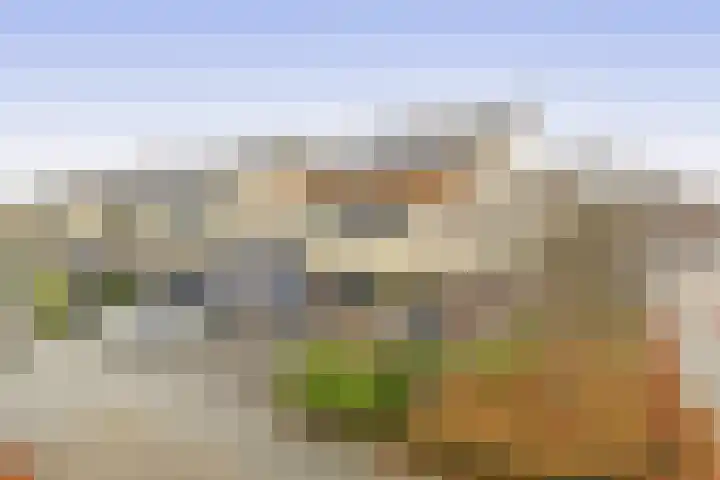 Bachlaan 79 A Oud-Beijerland thumbnail 7