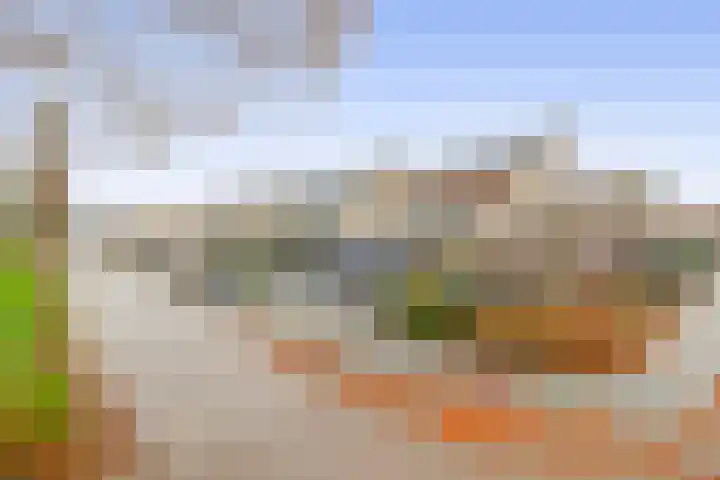 Bachlaan 79 A Oud-Beijerland thumbnail 8