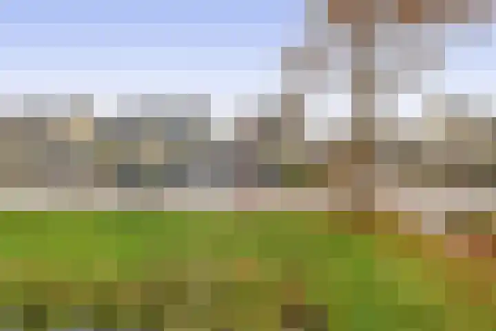 Bachlaan 79 A Oud-Beijerland thumbnail 9