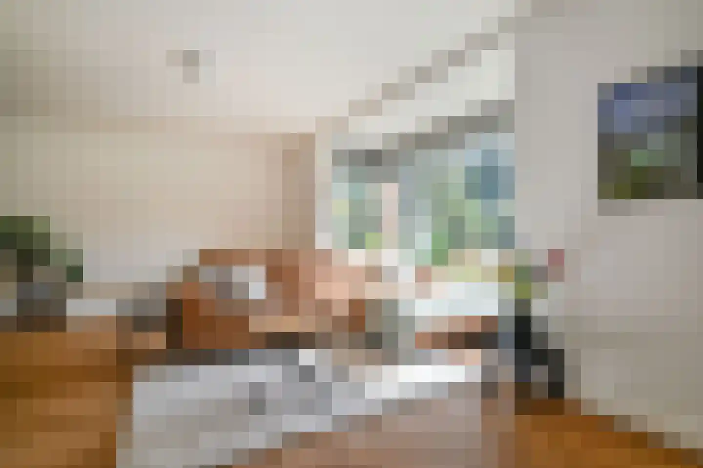 Bachlaan 8 Huizen thumbnail 12
