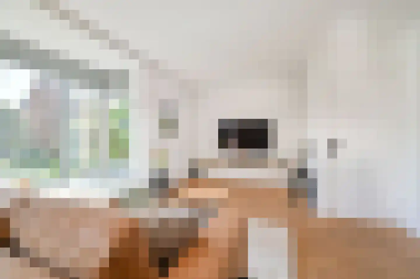 Bachlaan 8 Huizen thumbnail 14
