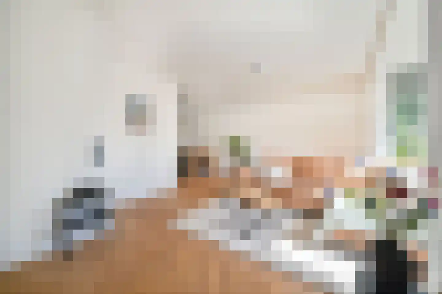 Bachlaan 8 Huizen thumbnail 16