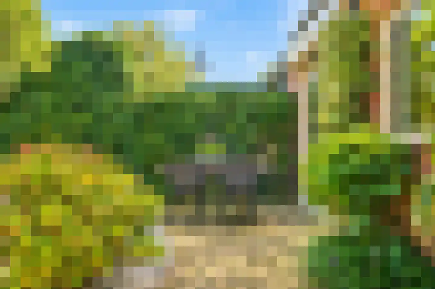 Bachlaan 8 Huizen thumbnail 23