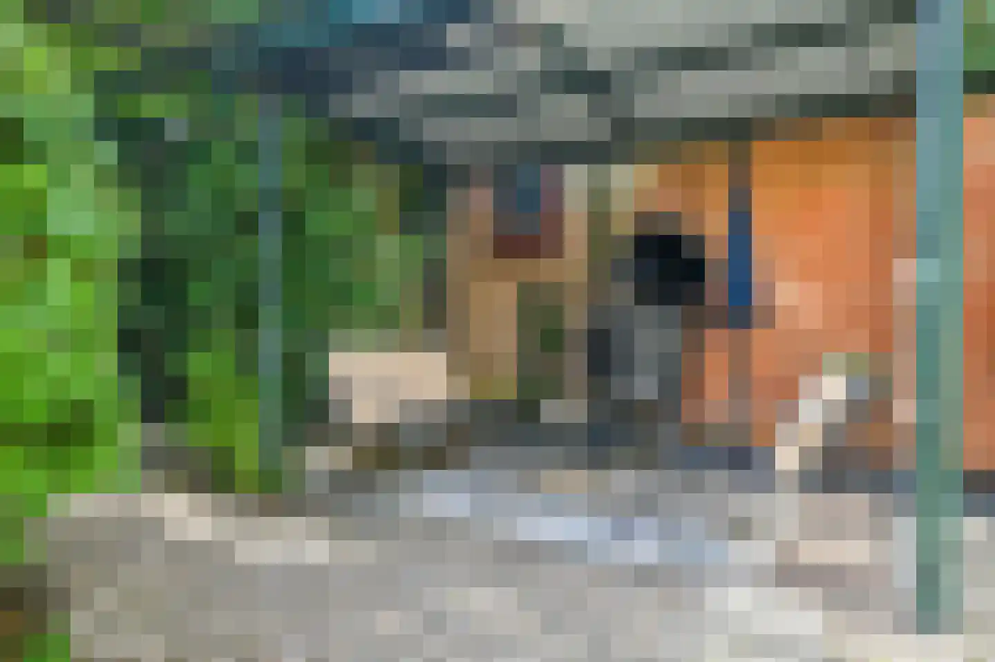 Bachlaan 8 Huizen thumbnail 27