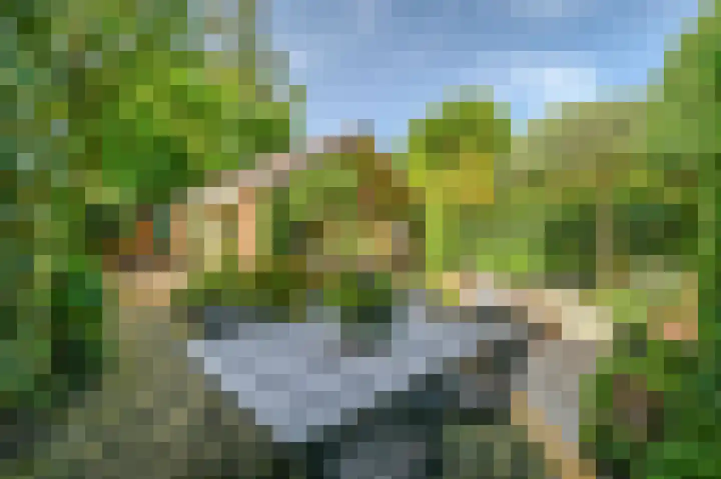 Bachlaan 8 Huizen thumbnail 29