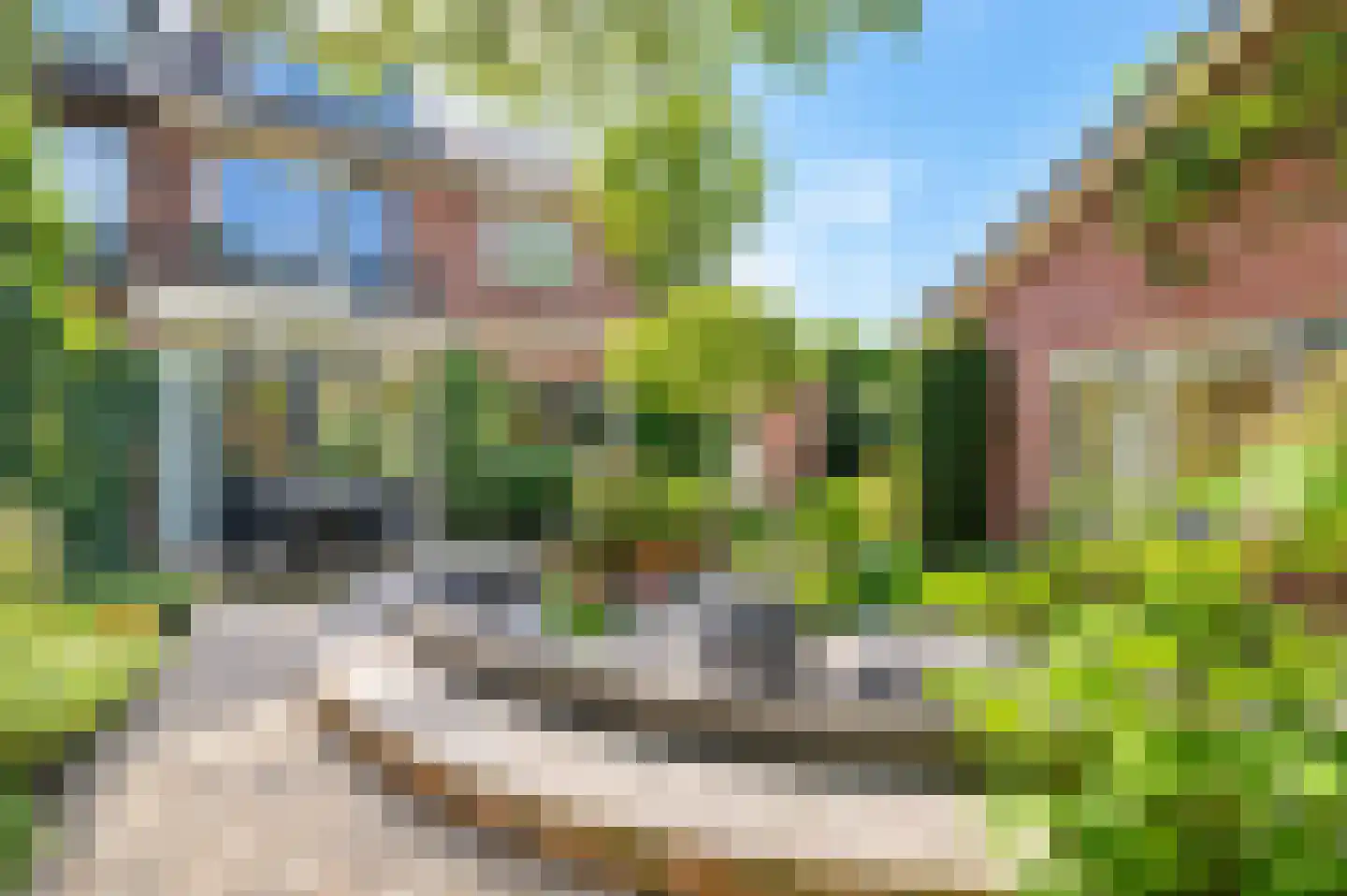 Bachlaan 8 Huizen foto 3