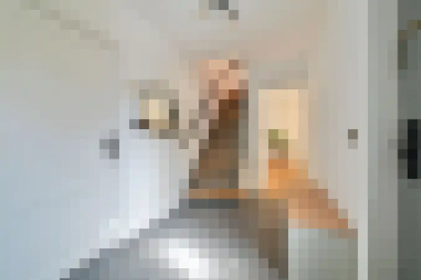 Bachlaan 8 Huizen thumbnail 34