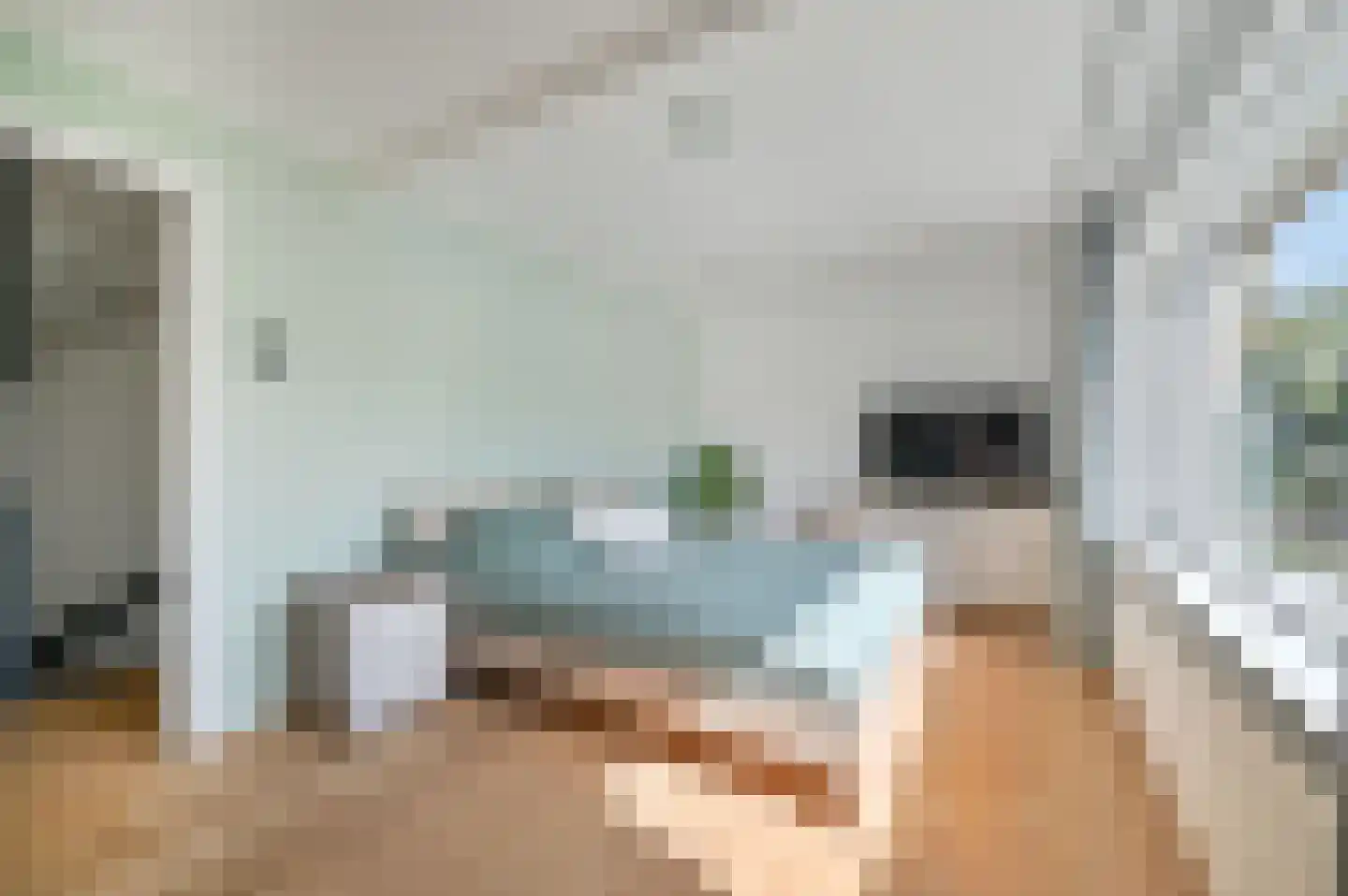 Bachlaan 8 Huizen thumbnail 36