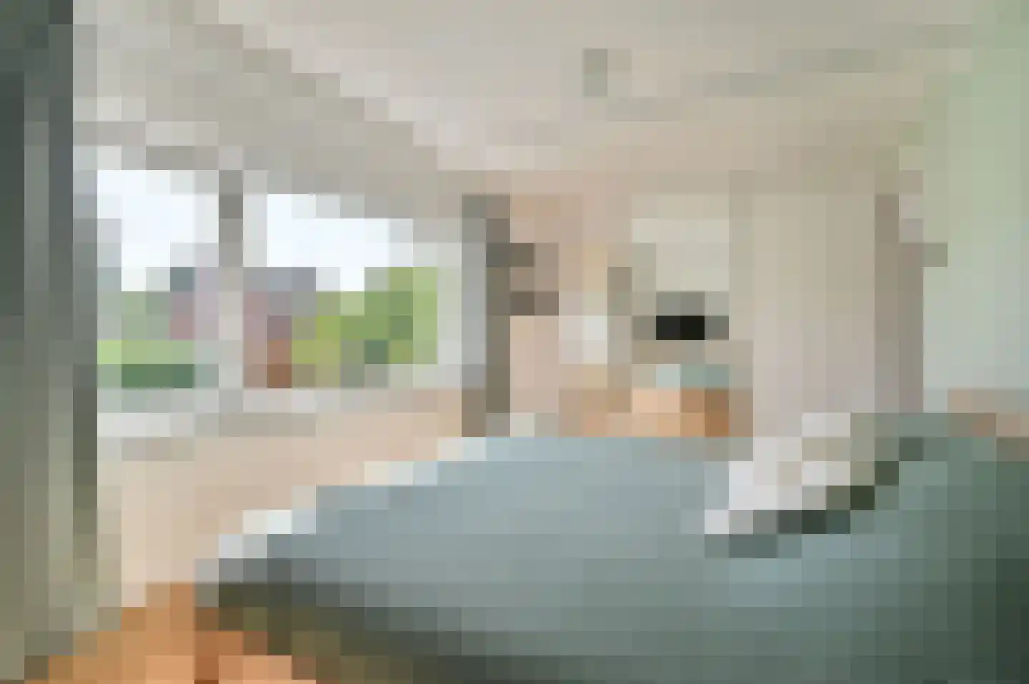 Bachlaan 8 Huizen thumbnail 37