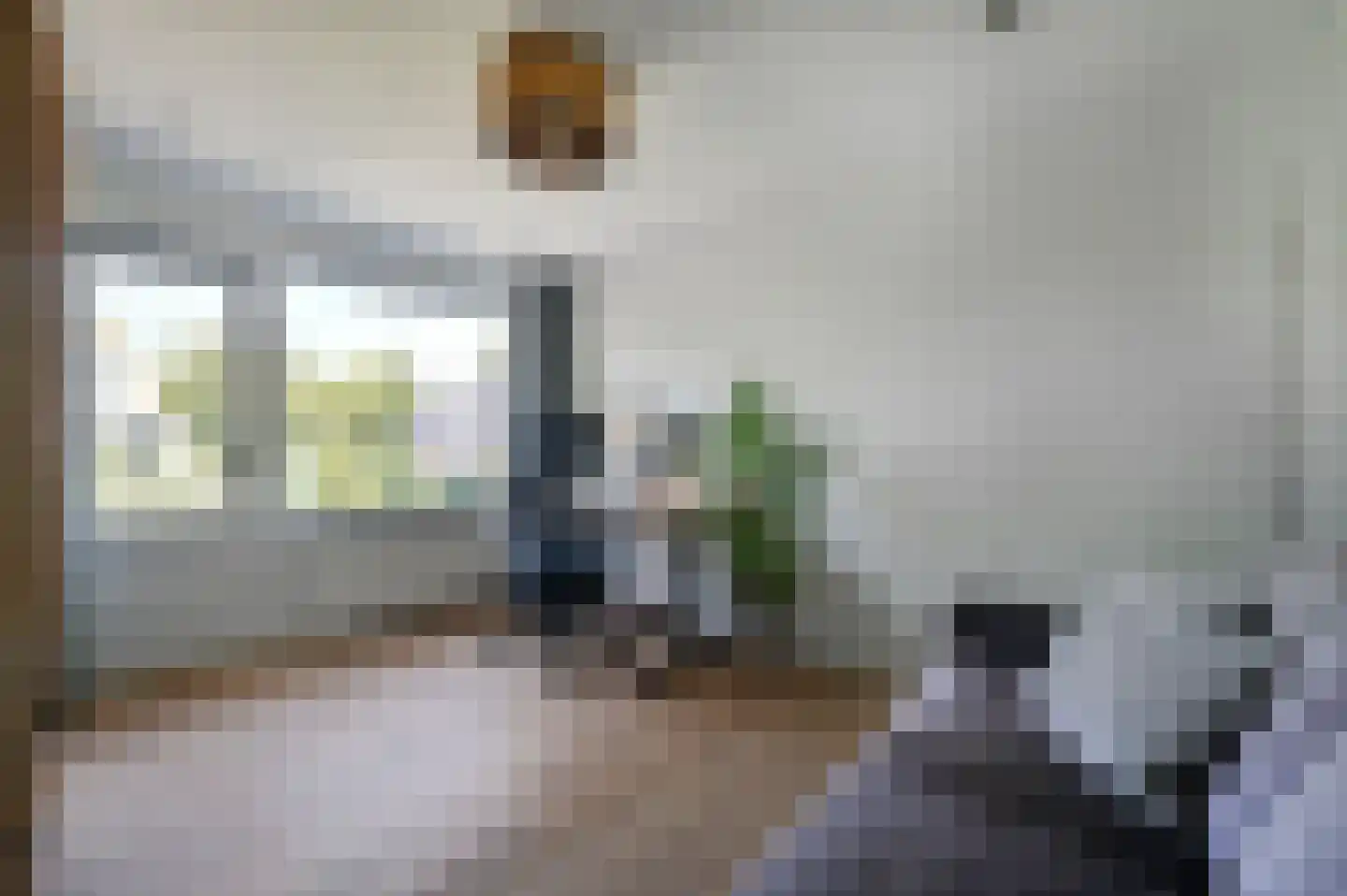 Bachlaan 8 Huizen thumbnail 38