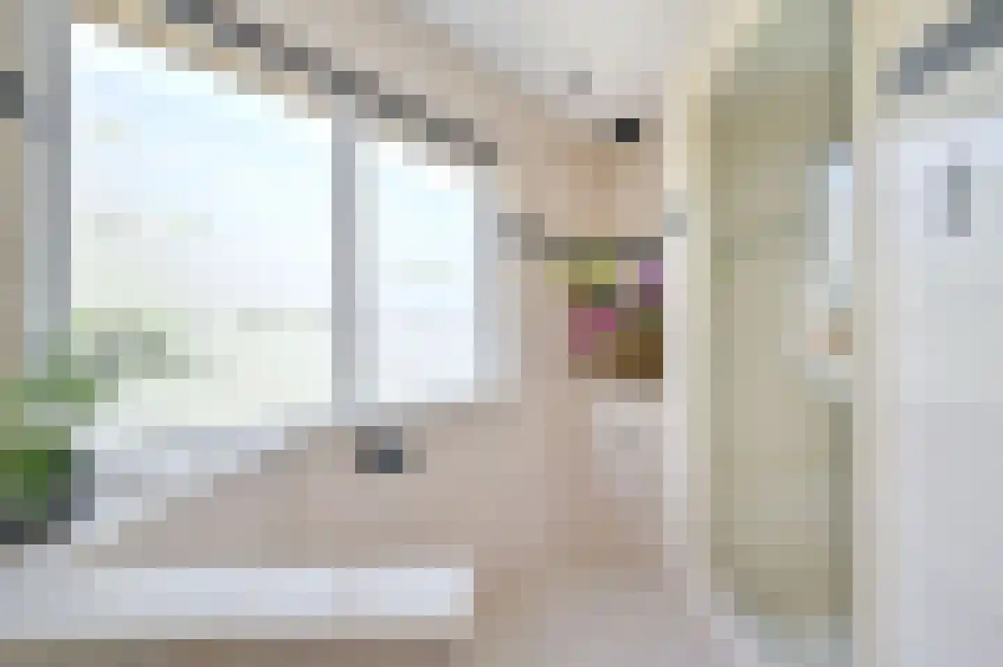Bachlaan 8 Huizen thumbnail 40
