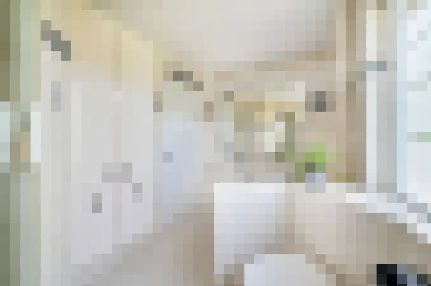 Bachlaan 8 Huizen thumbnail 41
