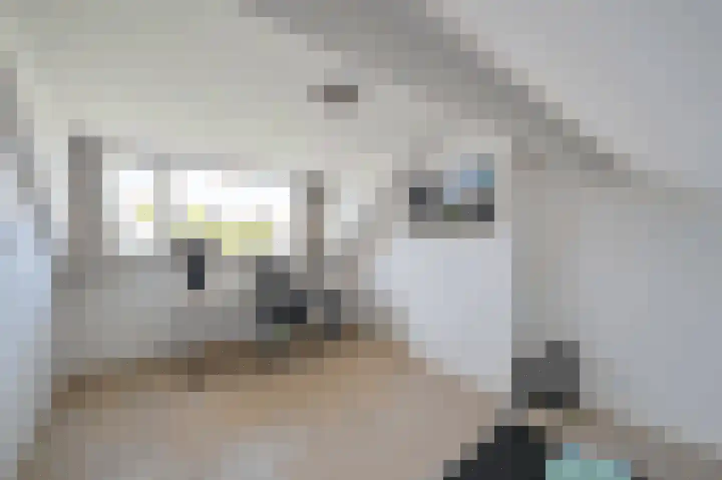 Bachlaan 8 Huizen thumbnail 44