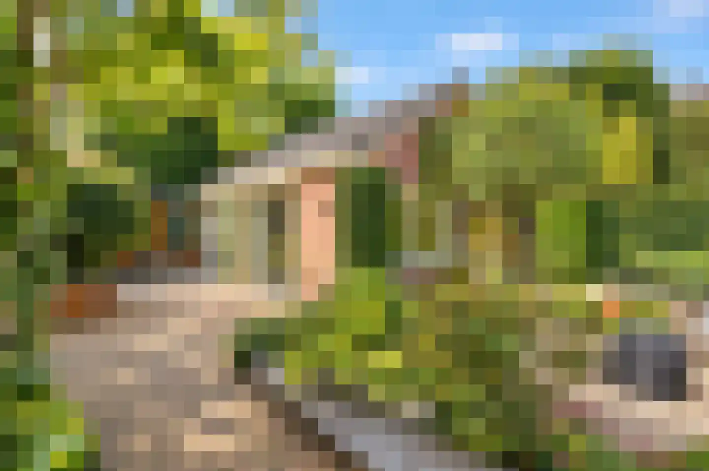 Bachlaan 8 Huizen thumbnail 46