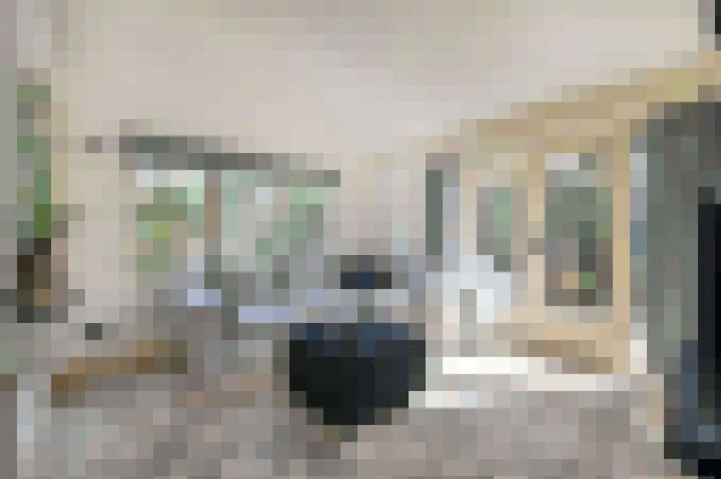Bachlaan 8 Huizen thumbnail 47