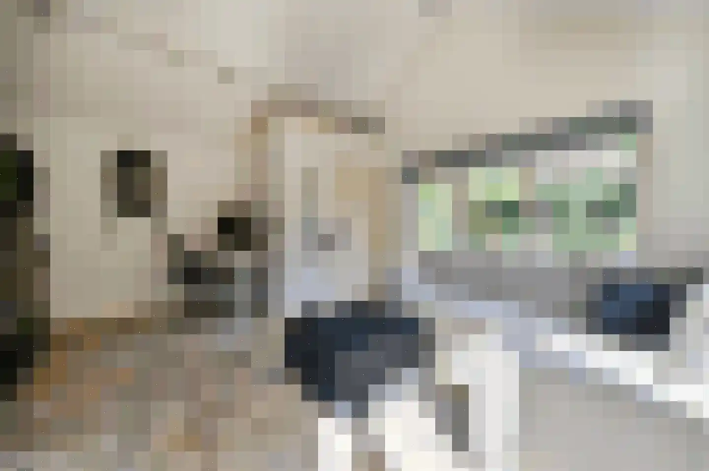 Bachlaan 8 Huizen thumbnail 48