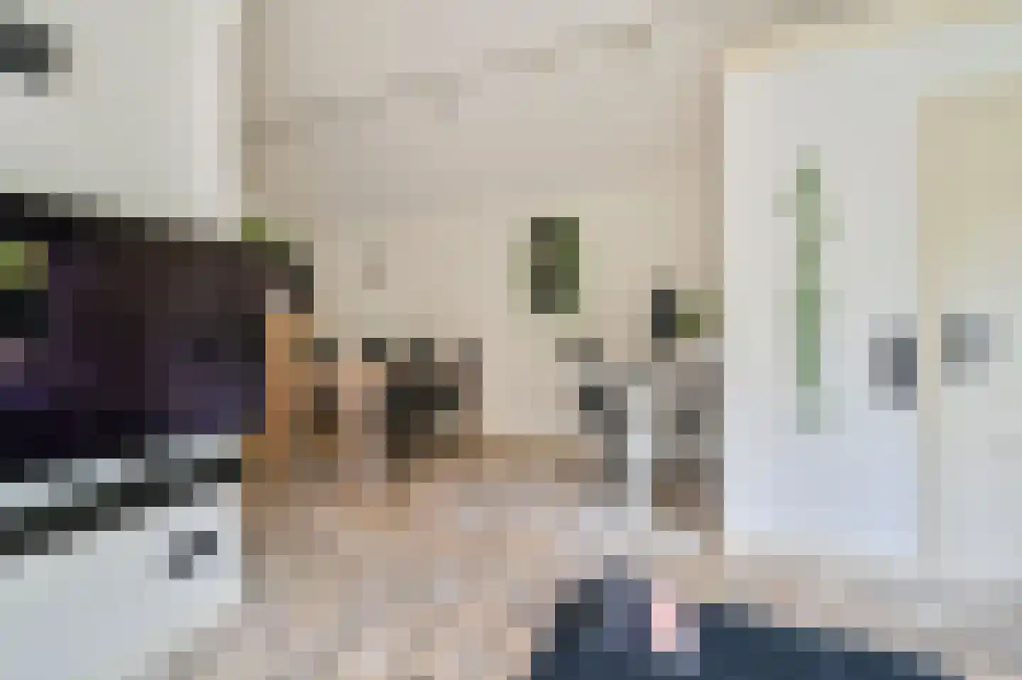 Bachlaan 8 Huizen thumbnail 49