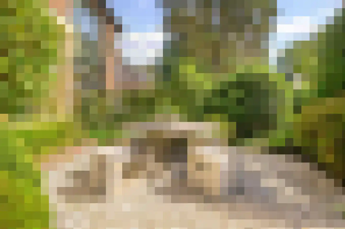 Bachlaan 8 Huizen thumbnail 8