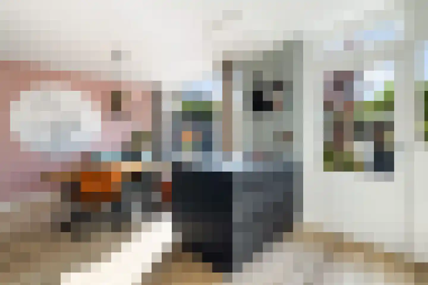 Bachlaan 8 Naaldwijk thumbnail 17