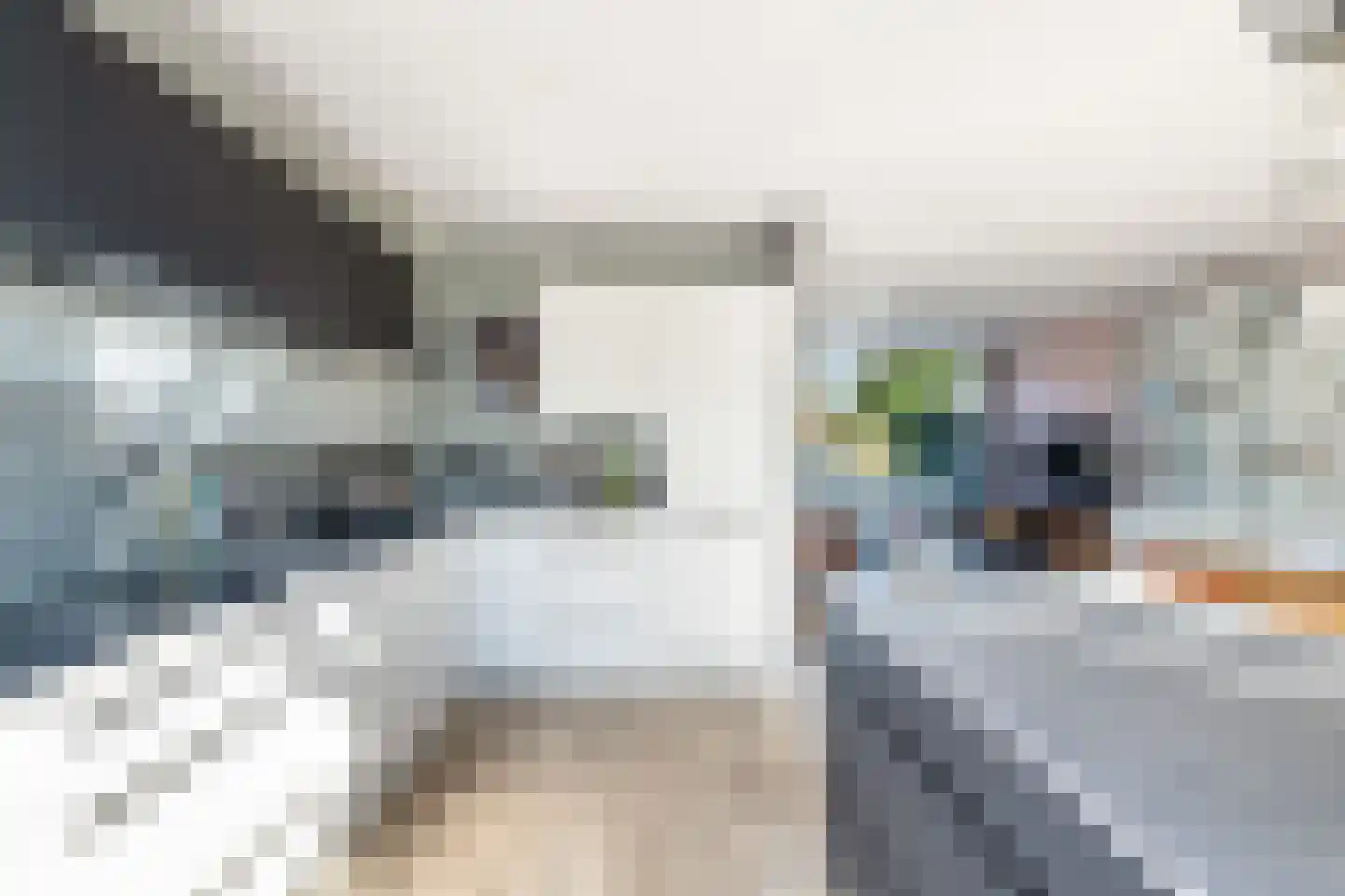 Bachlaan 8 Naaldwijk thumbnail 22