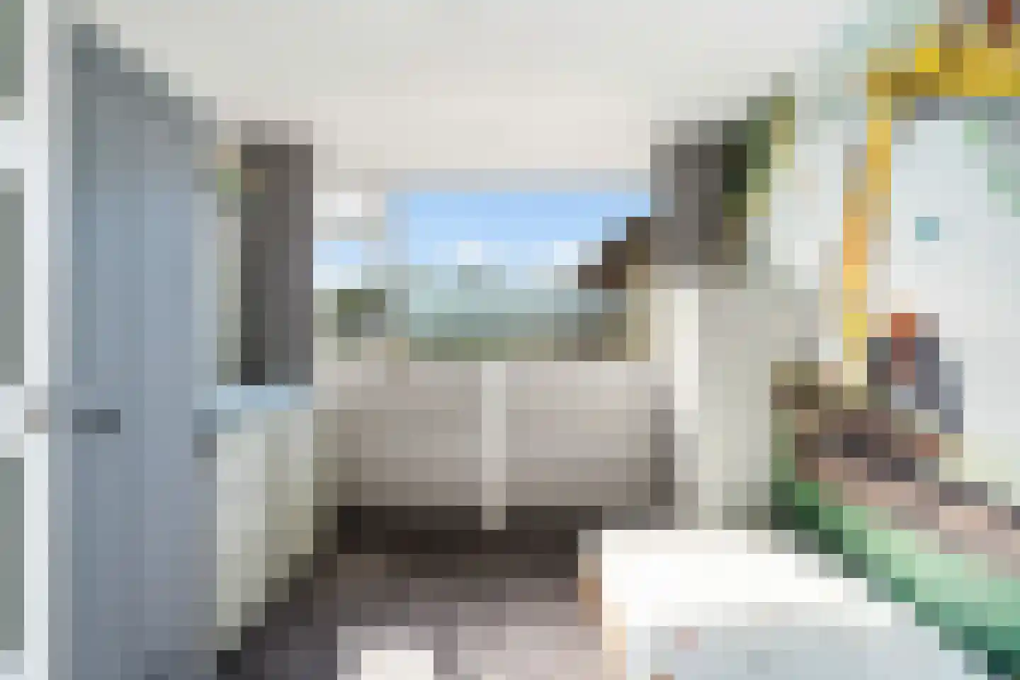 Bachlaan 8 Naaldwijk thumbnail 41