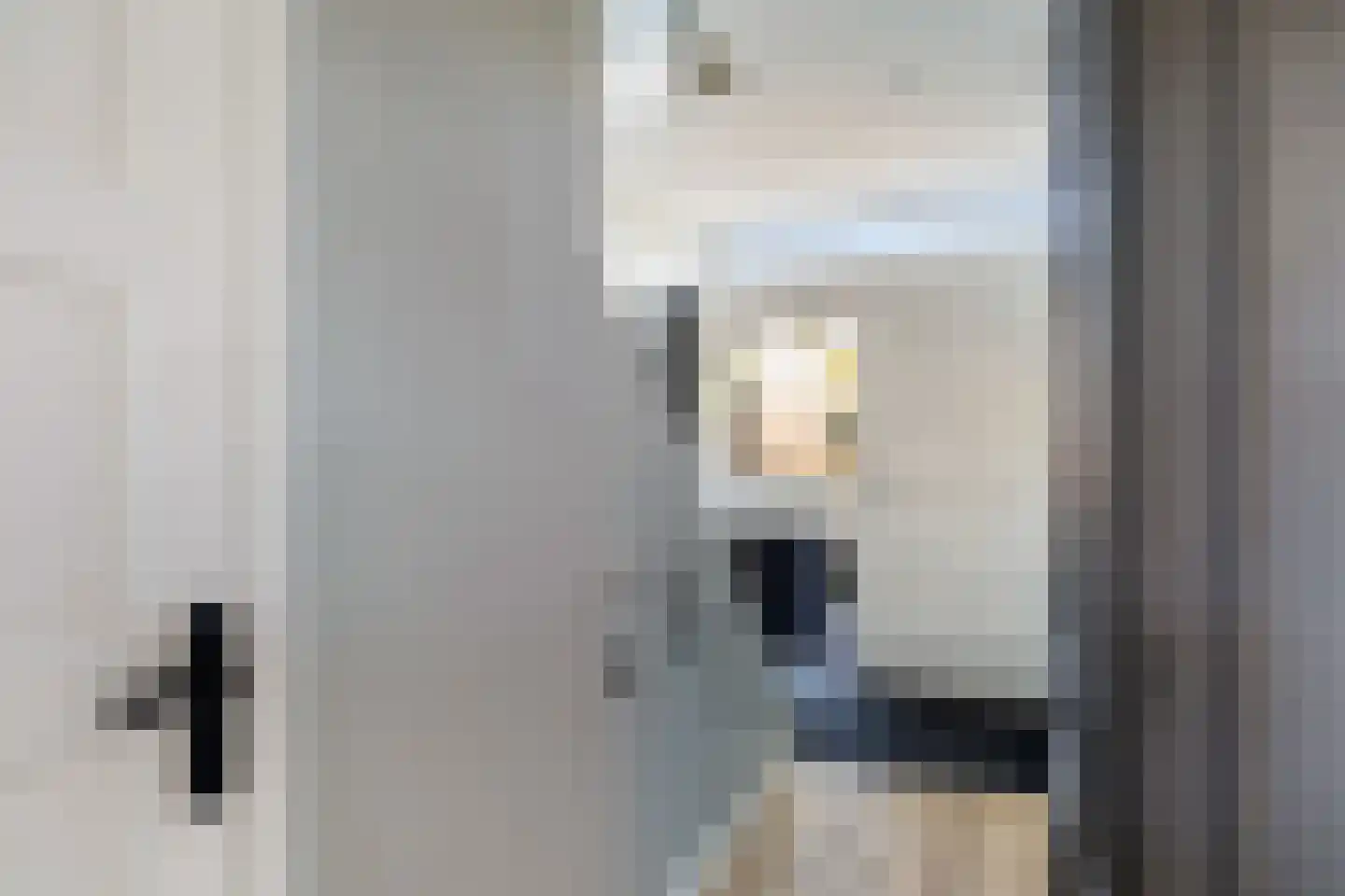 Bachlaan 8 Naaldwijk thumbnail 49