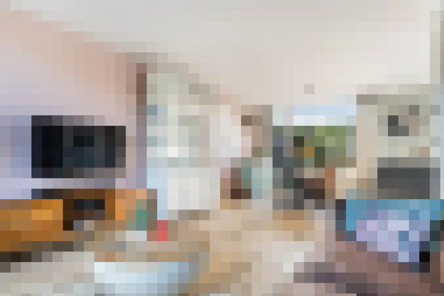 Bachlaan 8 Naaldwijk thumbnail 7
