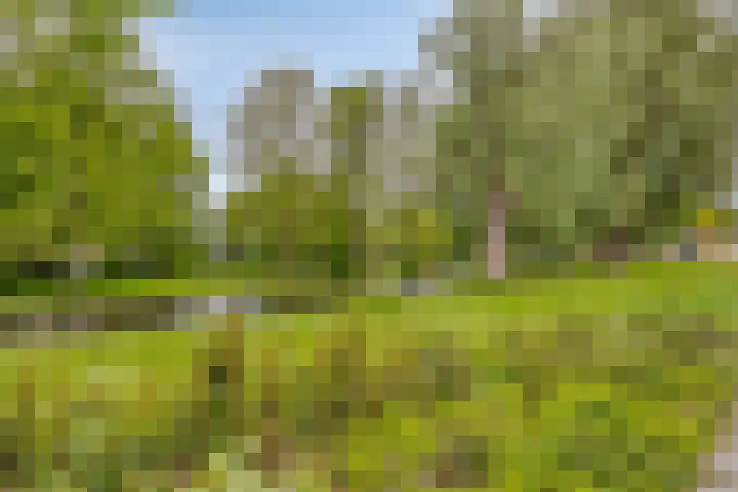 Bachlaan 82 Rotterdam thumbnail 18