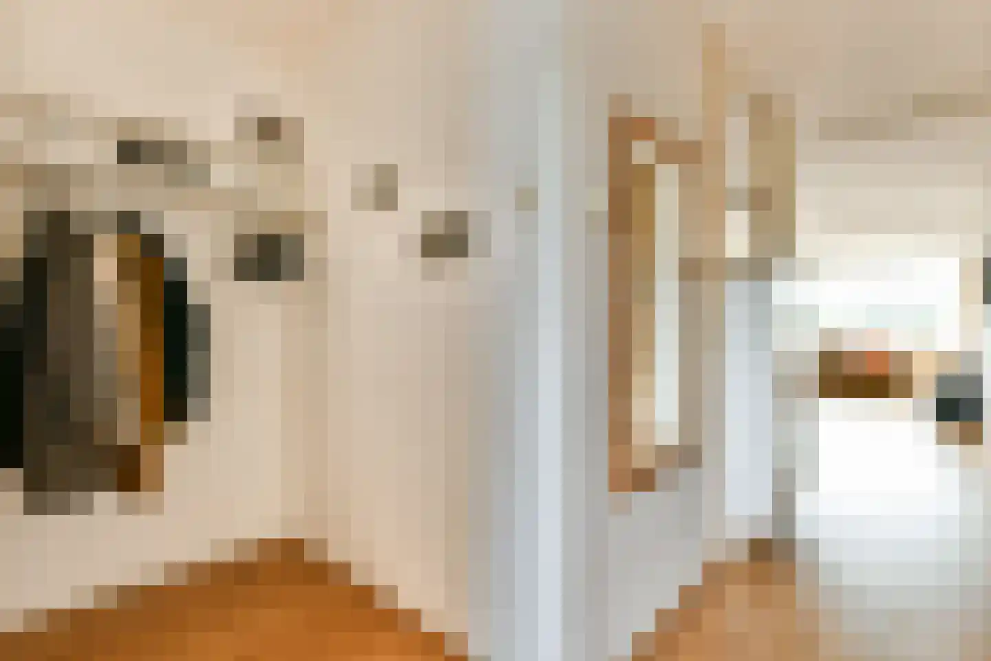Bachlaan 84 Rotterdam thumbnail 6