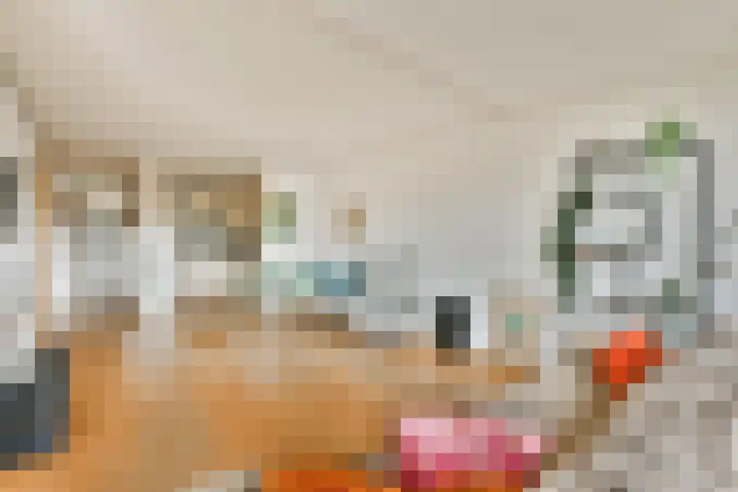 Bachlaan 84 Rotterdam thumbnail 9