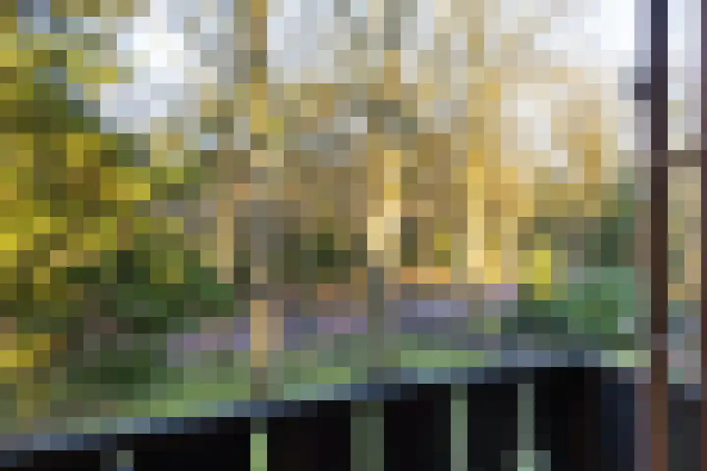 Bachlaan 9 Bilthoven thumbnail 30