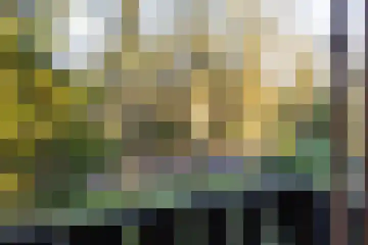 Bachlaan 9 Bilthoven thumbnail 30