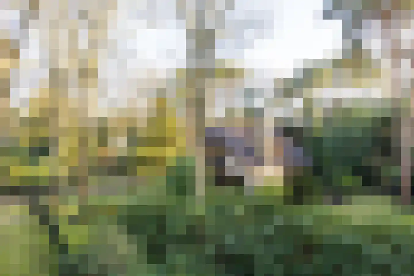 Bachlaan 9 Bilthoven thumbnail 34